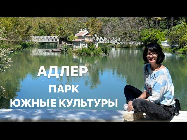 Сочи, Адлер! Парк Южные культуры, очень красивое место!Отель Надежда 3*, чем кормят на завтрак?