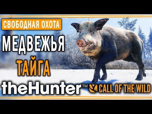 theHunter Call of the Wild #13  - Медвежья Тайга (часть 2) - Свободная Охота