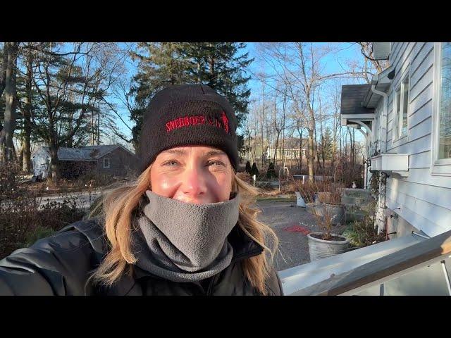 A quick (and cold) garden stroll  Overwintering shrubs in containers