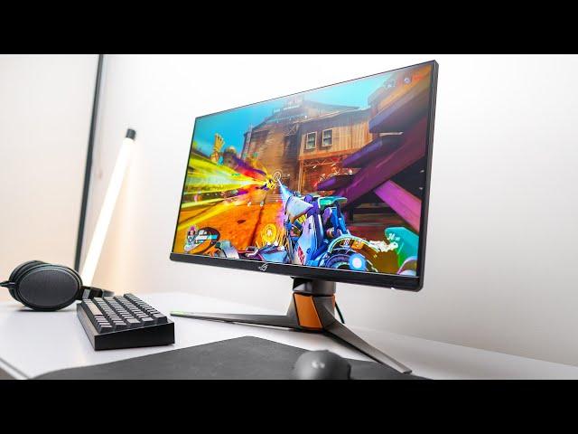 Gaming at 360Hz! Asus PG259QN Review