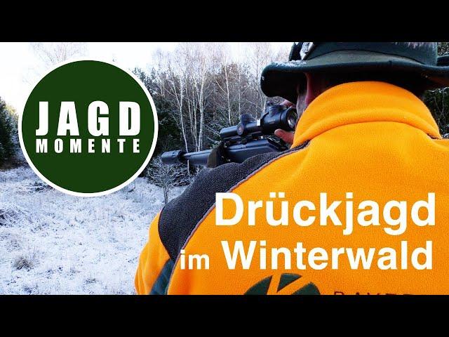 Drückjagd im Winterwald | JagdMomente