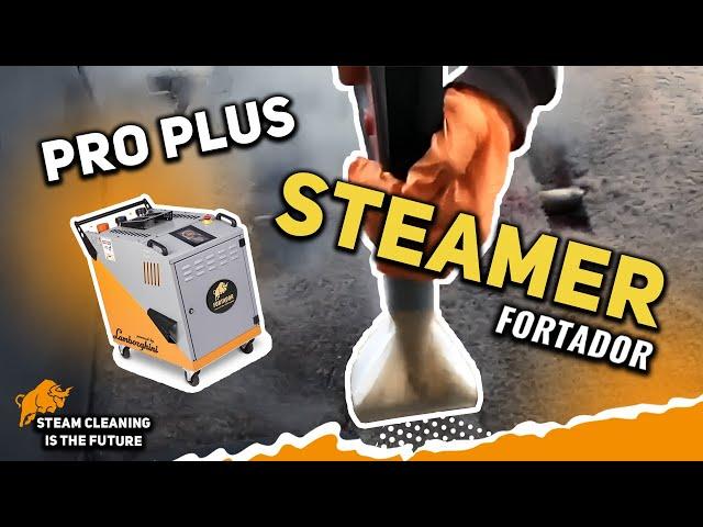 New Pro Plus Steamer Upholstary Tool.  Steam cleaning industry is the future.