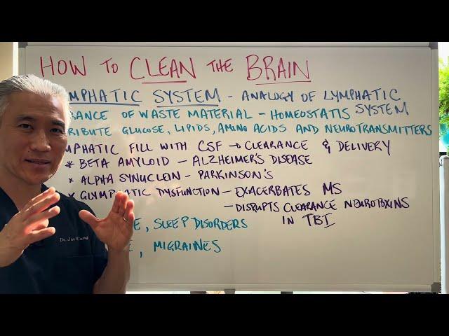 HOW to CLEAN the BRAIN----Glymphatic System