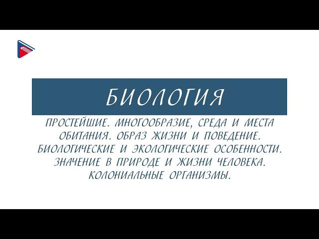 7 класс - Биология - Простейшие