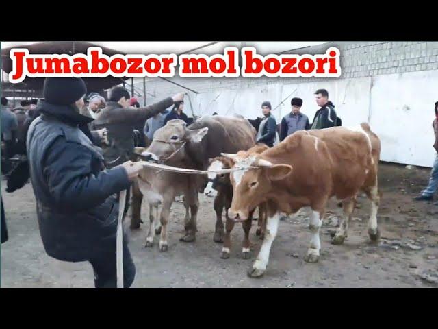 JUMABOZOR MOL BOZORI NARXLARI 20 02 2022