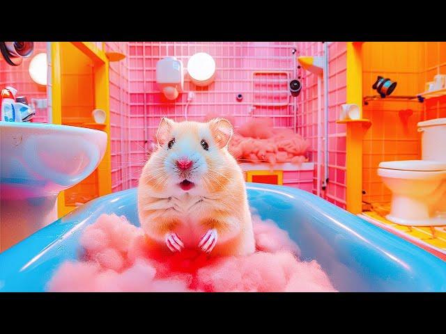  Great Maze  Hamster Escapes the Most Difficult Prison Maze Ever