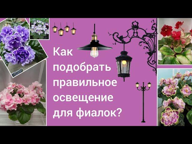 ОСВЕЩЕНИЕ для фиалок! Видео для НАЧИНАЮЩИХ! Рассказываю про светодиодные ленты, фитолампы, светильни