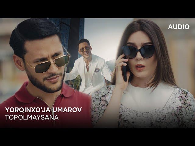 Yorqinxo'ja Umarov - Topolmaysana(Official Audio) - Ёрқинхўжа Умаров - Тополмайсанa