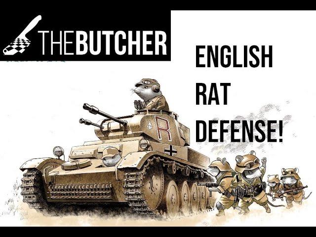 Chess Openings: Squash the English Rat Defense!!