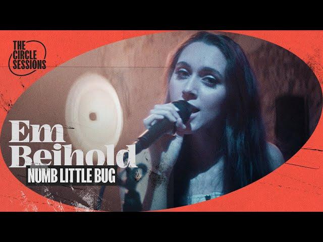 Em Beihold - Numb Little Bug (Live) | The Circle° Sessions