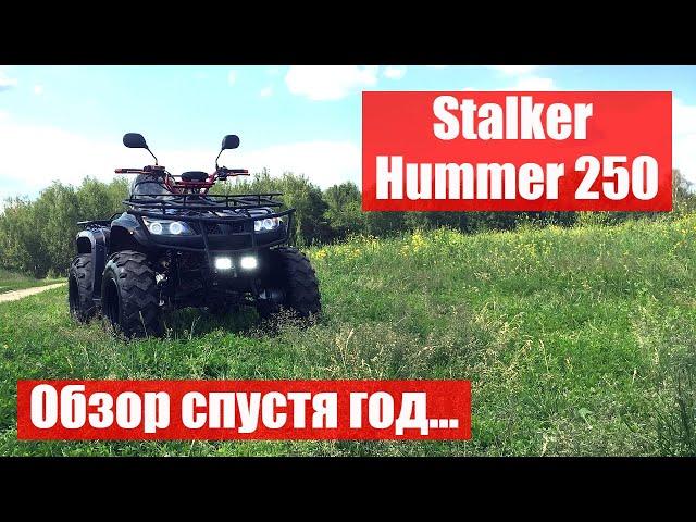 Квадроцикл Stalker Hummer 250. Обзор спустя год...