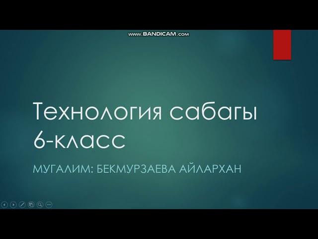 Технология сабагы 6-класс