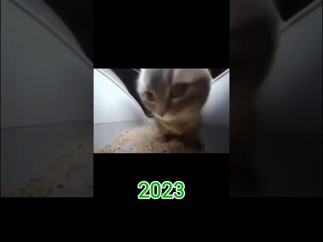 Famous Cats Memes (then vs now) #shorts #memes #nostalgia #catmemes #meme