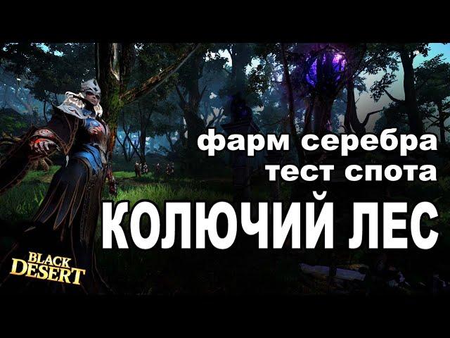 Колючий лес - Фарм 100+кк/час серебра в BDO - Black Desert (MMORPG)