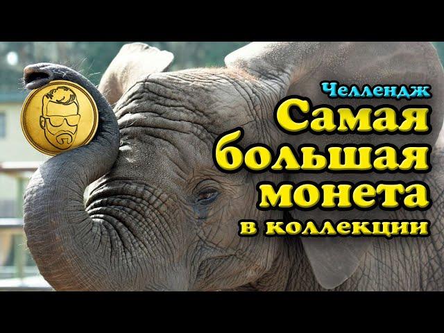 Самая Большая монета в моей коллекции. Челлендж для нумизматов