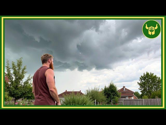 Chemtrails Have Destroyed My Garden...