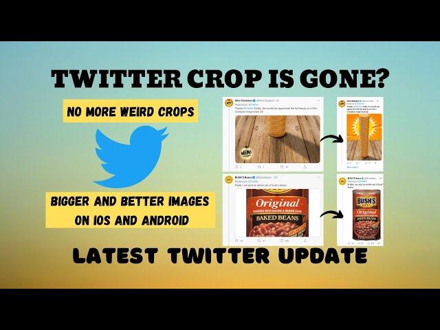 Twitter Crop Update - Twitter Crop is Gone - RIP Twitter Crop