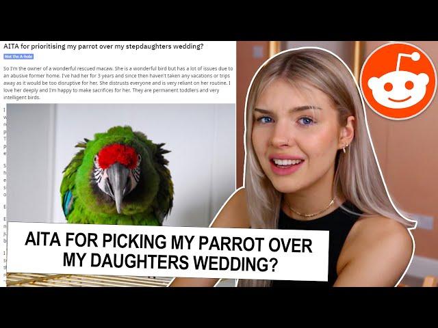 am I the A**HOLE for picking my PARROT over my DAUGHTER... REDDIT AITA