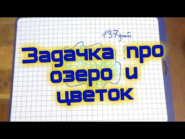 СПОРИМ НЕ РЕШИШЬ! Задачка про озеро и цветок