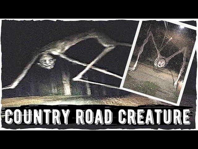 Country road creature | Ужасы Тревора Хендерсона | Creepypastas and Unnerving Images