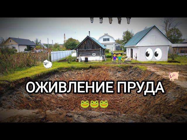 Очистка и углубление ПРУДА. Работа на ЭКСКАВАТОРЕ. Таймлапс.