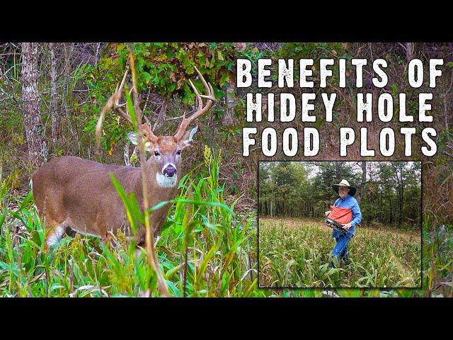 Hidey Hole Food Plot Seminar by Dr. Grant Woods