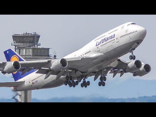 2 HRs Watching Airplanes, Aircraft Identification | Plane Spotting Frankfurt Airport [FRA/EDDF]