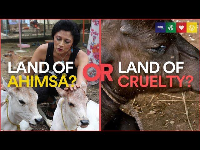 INDIA: The Land Of Ahimsa [Official Documentary]