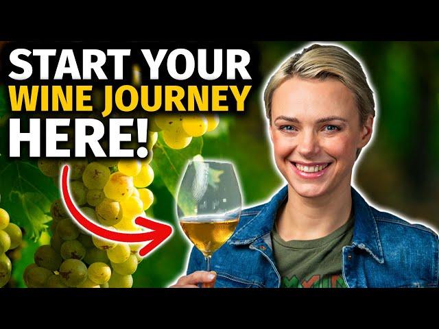 Beginner's Guide to WINE: 7 Expert TIPS to Start & Elevate Your WINE JOURNEY