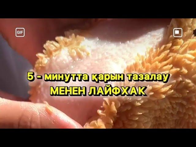 5 - минутта қарын тазалау МЕНЕН ЛАЙФХАК