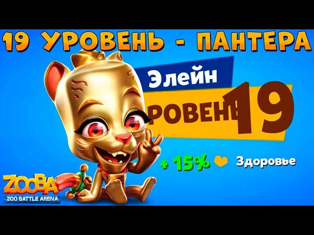 LEVEL 19 - GOLDEN CAT ELAINE!!! ZOOBA