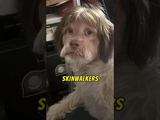 Skinwalkers might just be real