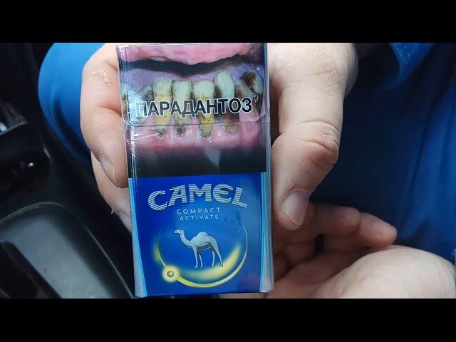 Обзор на Camel Compact Active Yellow (Беларусь)