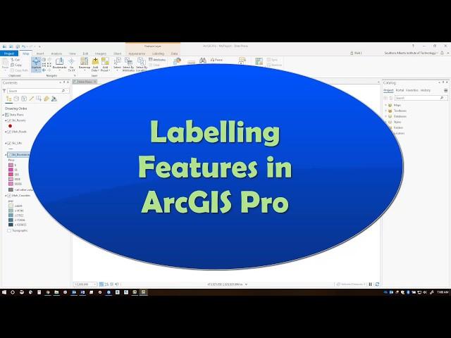 Labeling Features in ArcGIS Pro