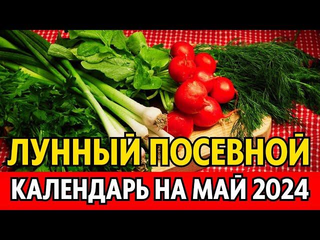 Когда сеять, сажать в мае? Лунный посевной календарь на май 2024, календарь огородника