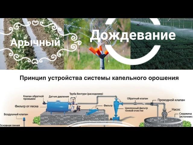 Дождевание, арычный и капельный поливы. ПРЕИМУЩЕСТВА И НЕДОСТАТКИ