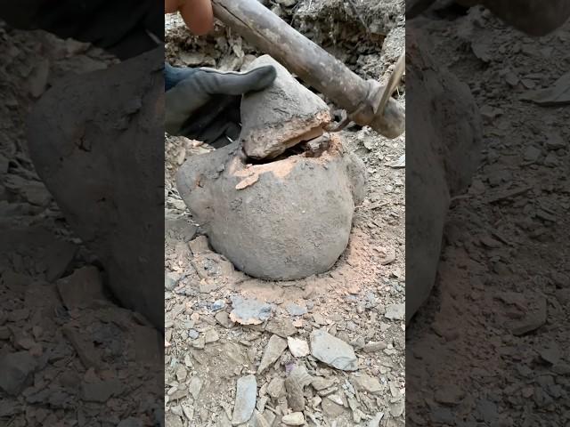 #metaldetecting #treasuretrove #metaldetector #snake #treasuresearching #wildlife #treasure