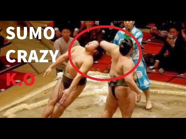 Sumo Wrestling Brutal And Best Knockouts Compilation