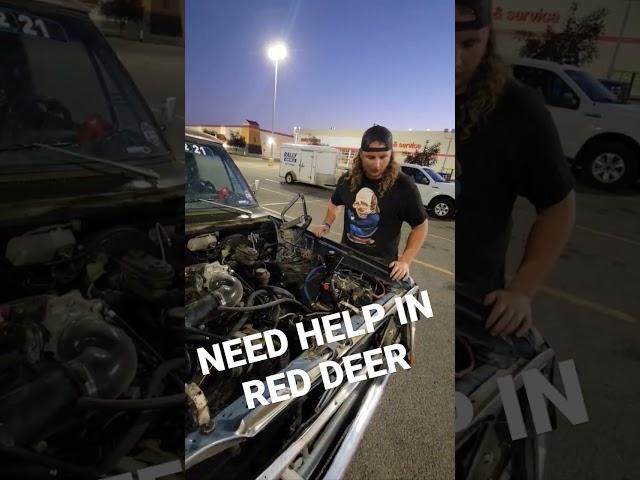 Need Your Help In Red Deer Alberta!