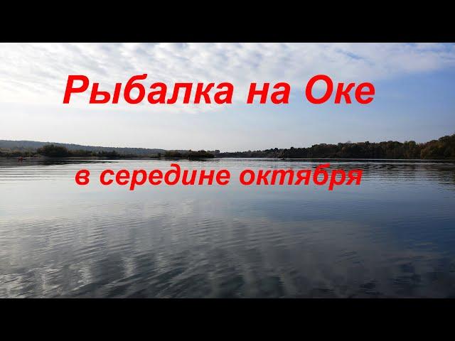 Рыбалка на Оке в середине октября.