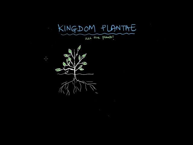 Plant Kingdom | Biological Classification | Biology | Khan Academy