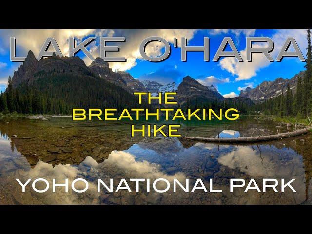 The Breathtaking Hike: Lake O'Hara's Lower Alpine Route