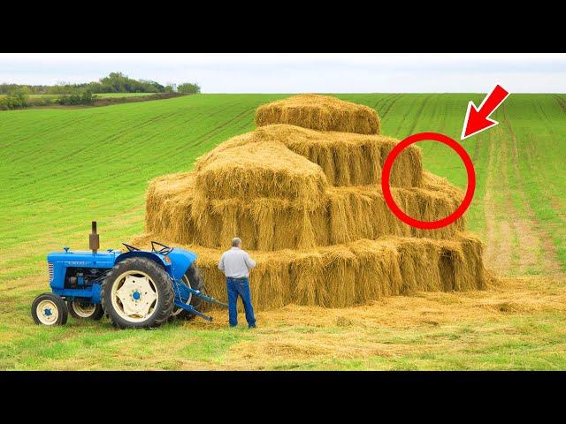 The tractor driver couldn't believe his eyes when he saw this find in a haystack!