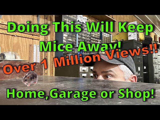 3 Ways To Get Rid Of Mice or Rats, And Keep Them Out!(#1 tip at10:14 mark for the impatient viewers)