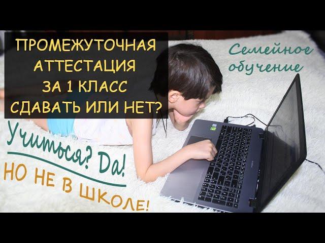  Семейное обучение: Промежуточная аттестация за 1-й класс - это право или обязанность. Сдавать ПА?