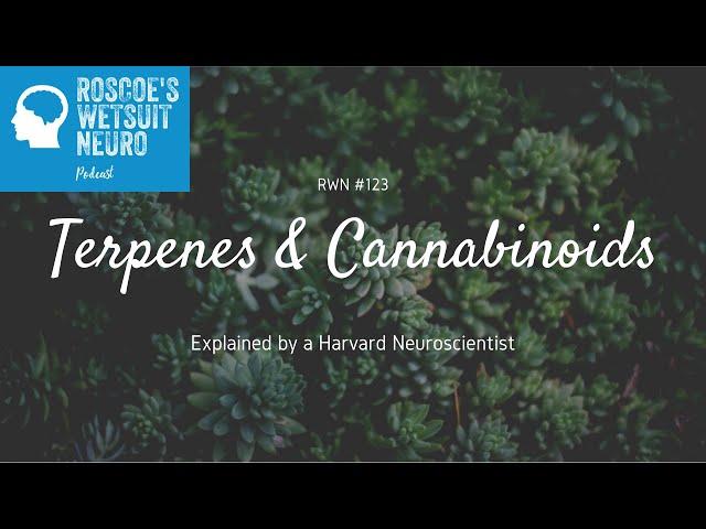 A Neuroscientist Explains Terpenes & Cannabinoids w/ Nick Jikomes, PhD.