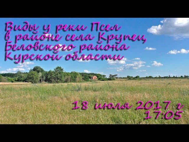 Виды у реки Псел в районе села Крупец Беловского района Курской области. Видеопанорама.