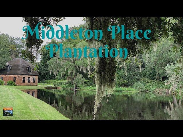 Our tour of the Middleton Place Plantation