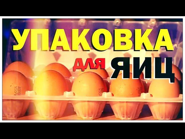 Галилео. Упаковка для яиц