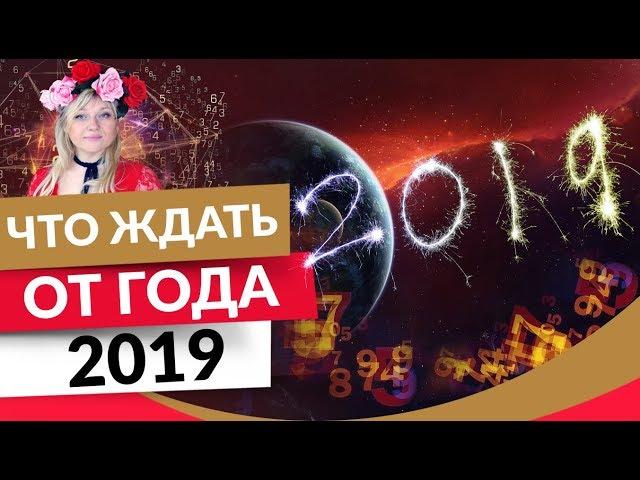 Что ждать от года 2019? Прогноз и рекомендации | Школа начинающего нумеролога